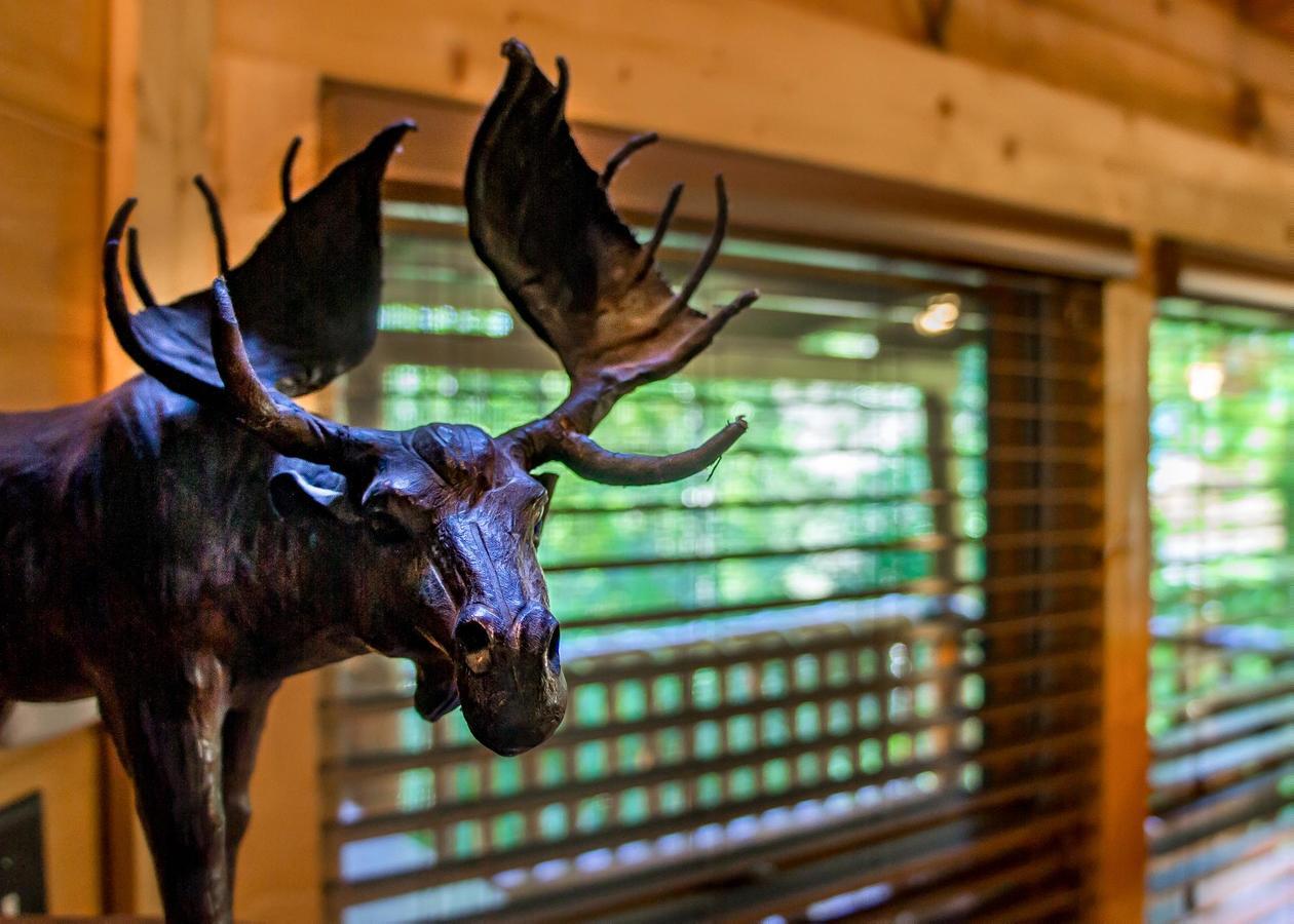 Bearfoot Inn #35 Sevierville Exterior foto